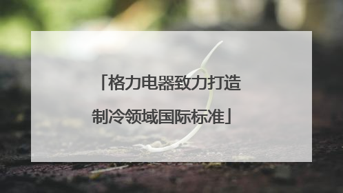 格力电器致力打造制冷领域国际标准